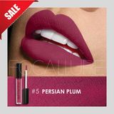 Waterproof Long-lasting Lip Gloss