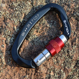 Professional D Shape Climbing Carabiner