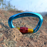 Professional D Shape Climbing Carabiner