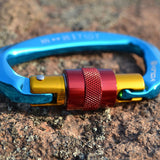 Professional D Shape Climbing Carabiner