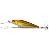 Multicolored Fishing Lures