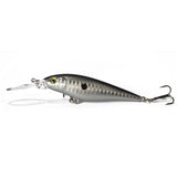 Multicolored Fishing Lures