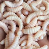 50 Pieces High Quality Lure Baits