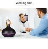 Air Humidifier & Essential Oil Diffuser