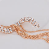 S-Shaped Tassel Earrings