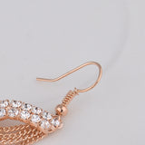 S-Shaped Tassel Earrings